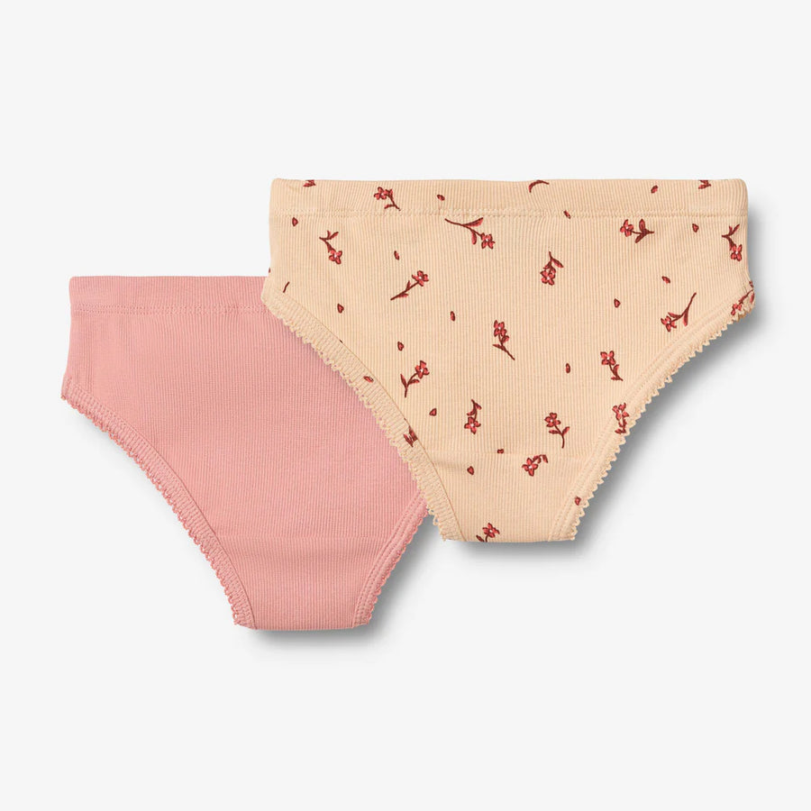 WHEAT Unterhosen 2er-Pack HAVANA Organic Cotton
