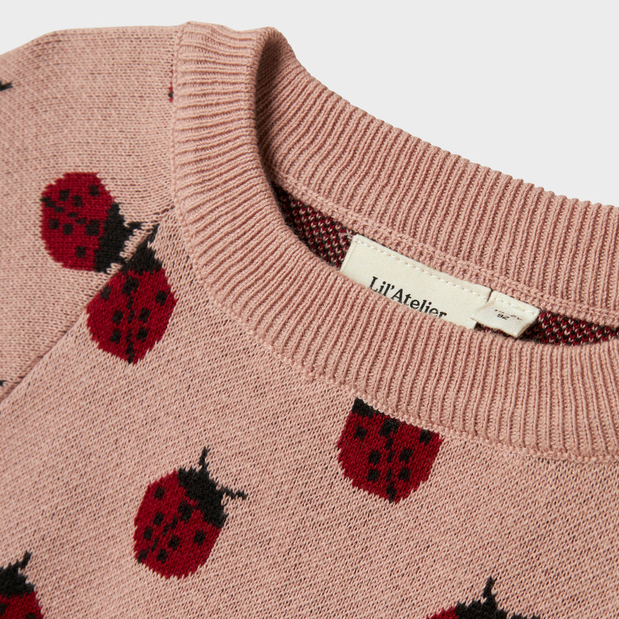 Lil`Atelier Strickpullovee NMFLULIO Organic Cotton