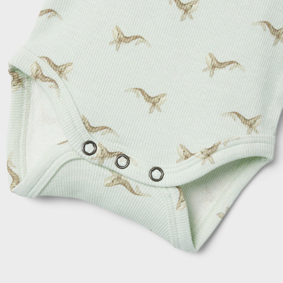 Lil`Atelier Langarm Body NBMGAVO ELM Organic Cotton