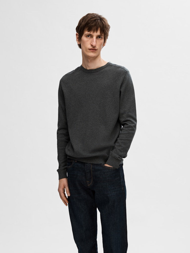 SELECTED HOMME Crew Neck SLHBERG Organic Cotton