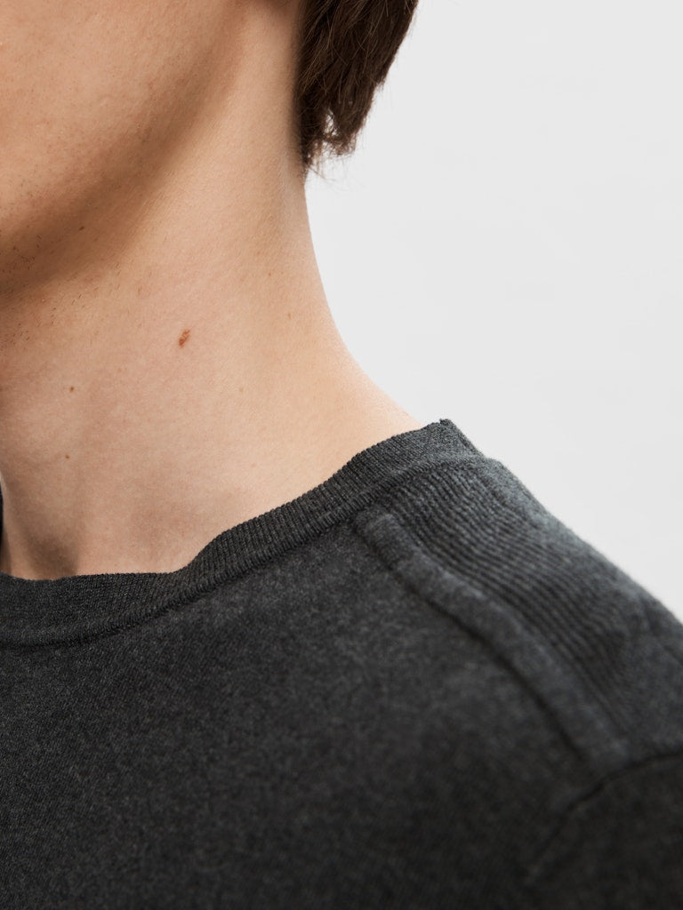 SELECTED HOMME Crew Neck SLHBERG Organic Cotton